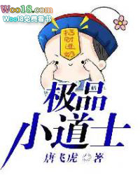极品小后妈言情小说